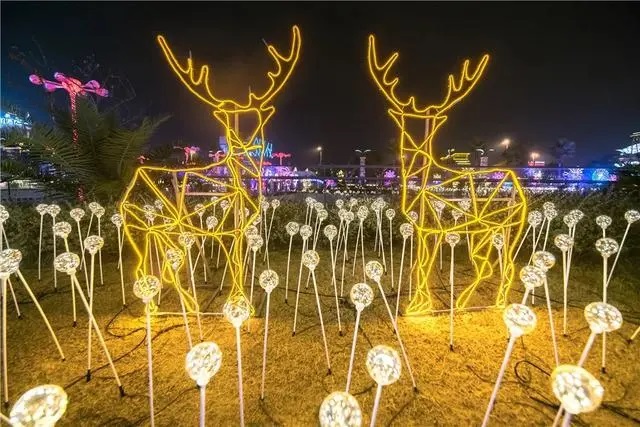 景区夜间灯光秀13.jpg