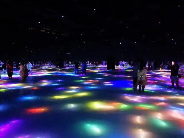景区夜间灯光秀5.jpg